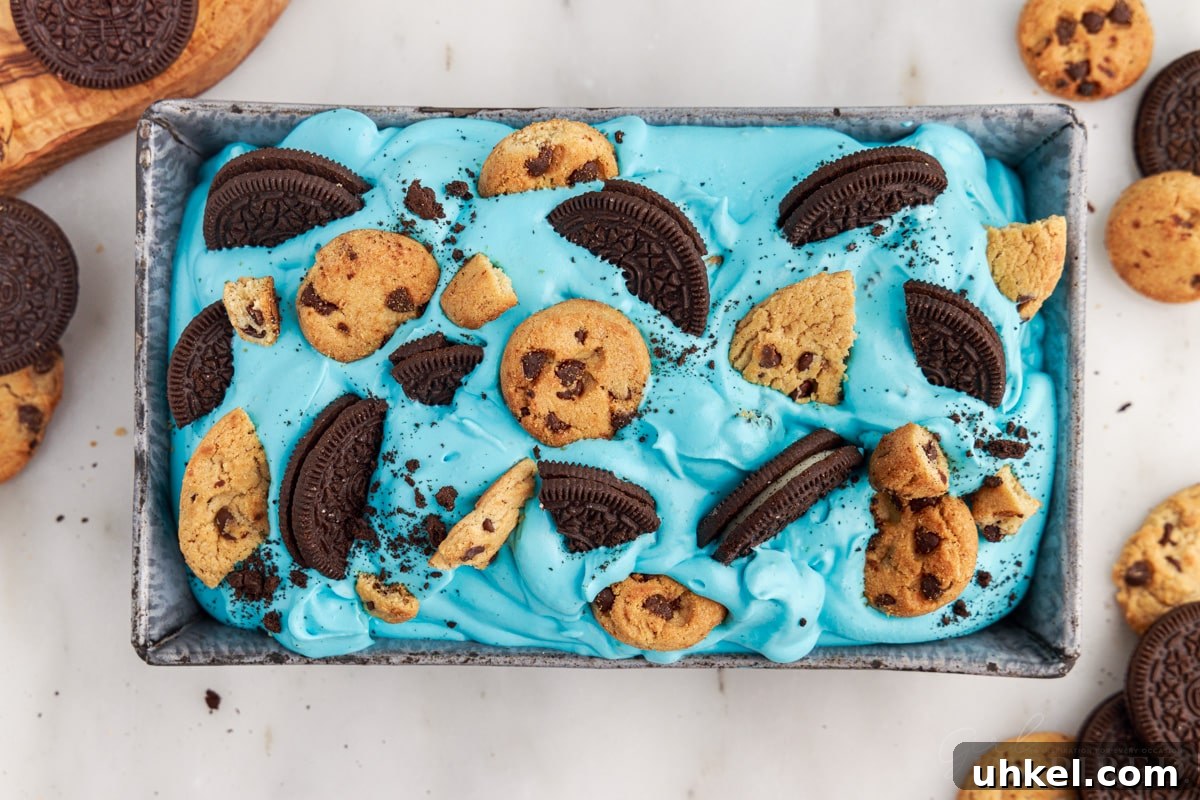 Cookie chunks added to the top of the Cookie Monster Ice Cream.