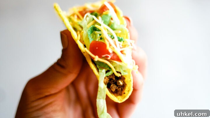 Taco Bell Copycat Crunchy Beef Tacos