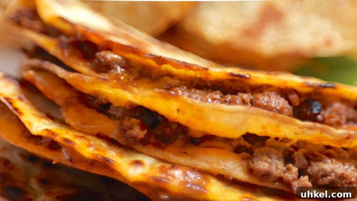 Fried Tacos