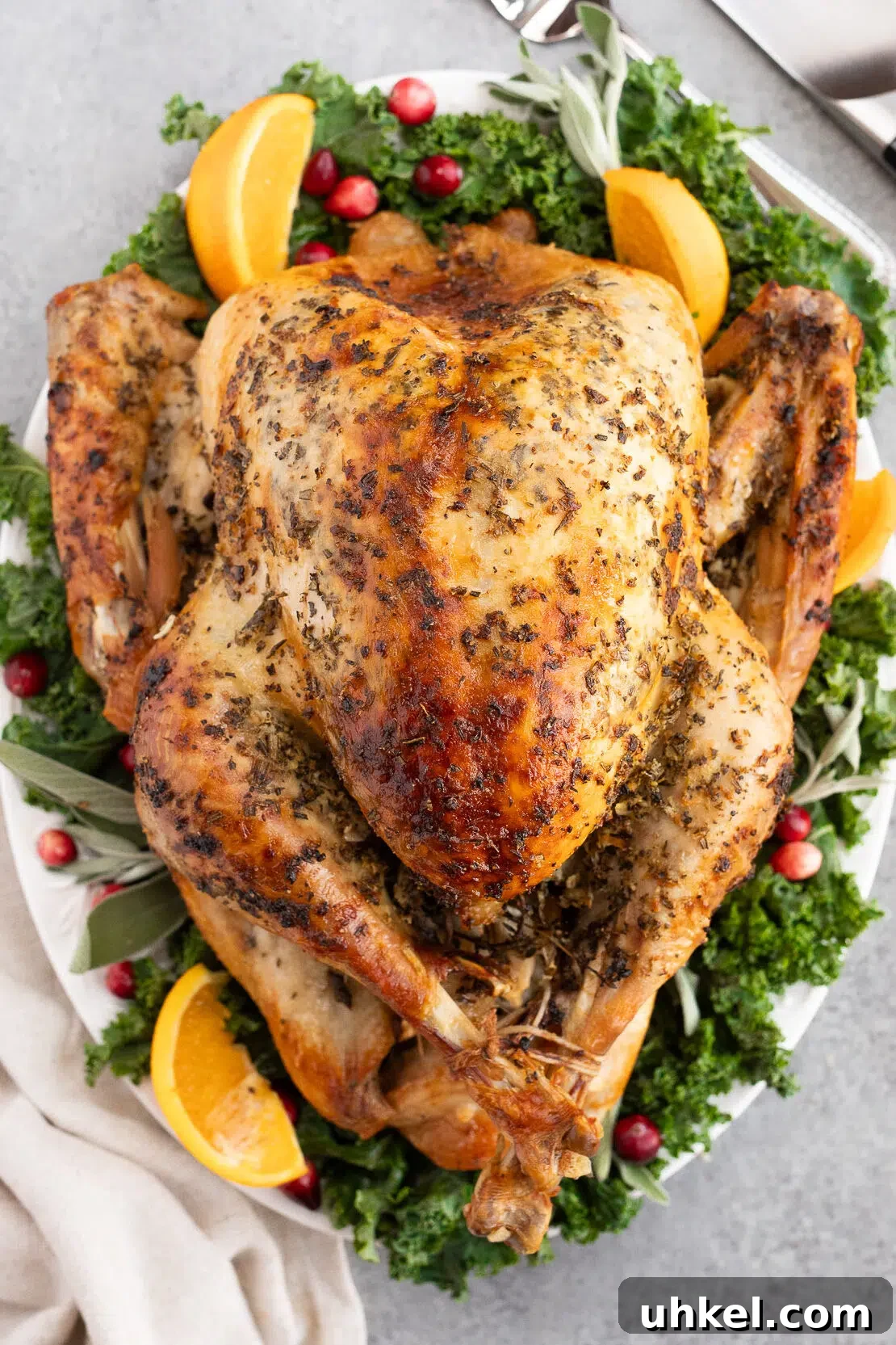 roasted thanksgiving turkey on a platter