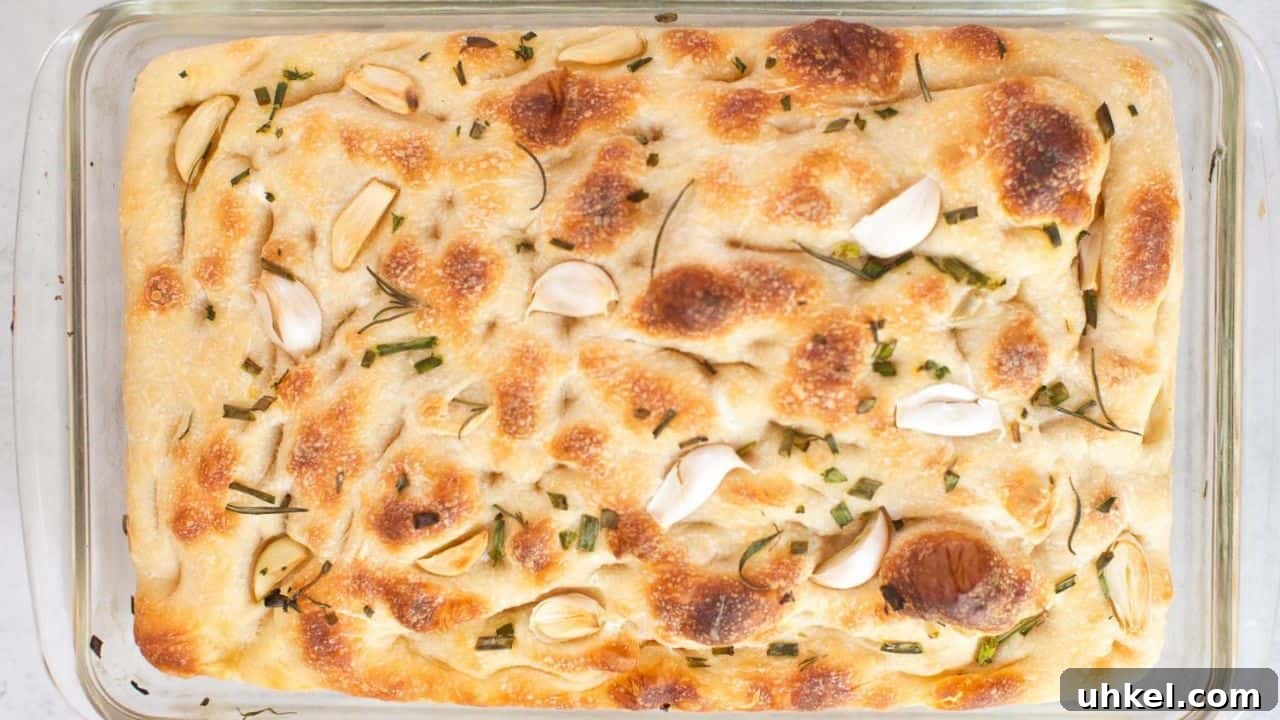 13 Budget-Friendly One-Pan Bakes Everyone Loves This Year 10 Easy Sourdough Focaccia Bread Recipe