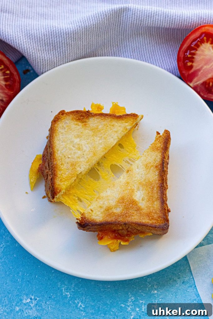 Air fryer grilled cheese sandwich