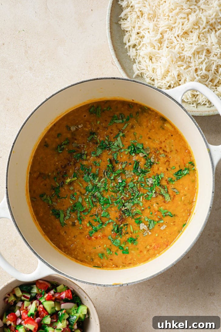 Authentic Masoor Dal (Red Lentil) Recipe for Perfect Flavor 16 Masoor Dal garnished with cilantro with rice on the side.