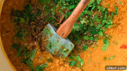 Authentic Masoor Dal (Red Lentil) Recipe for Perfect Flavor 27 Masoor Dal garnished with cilantro.