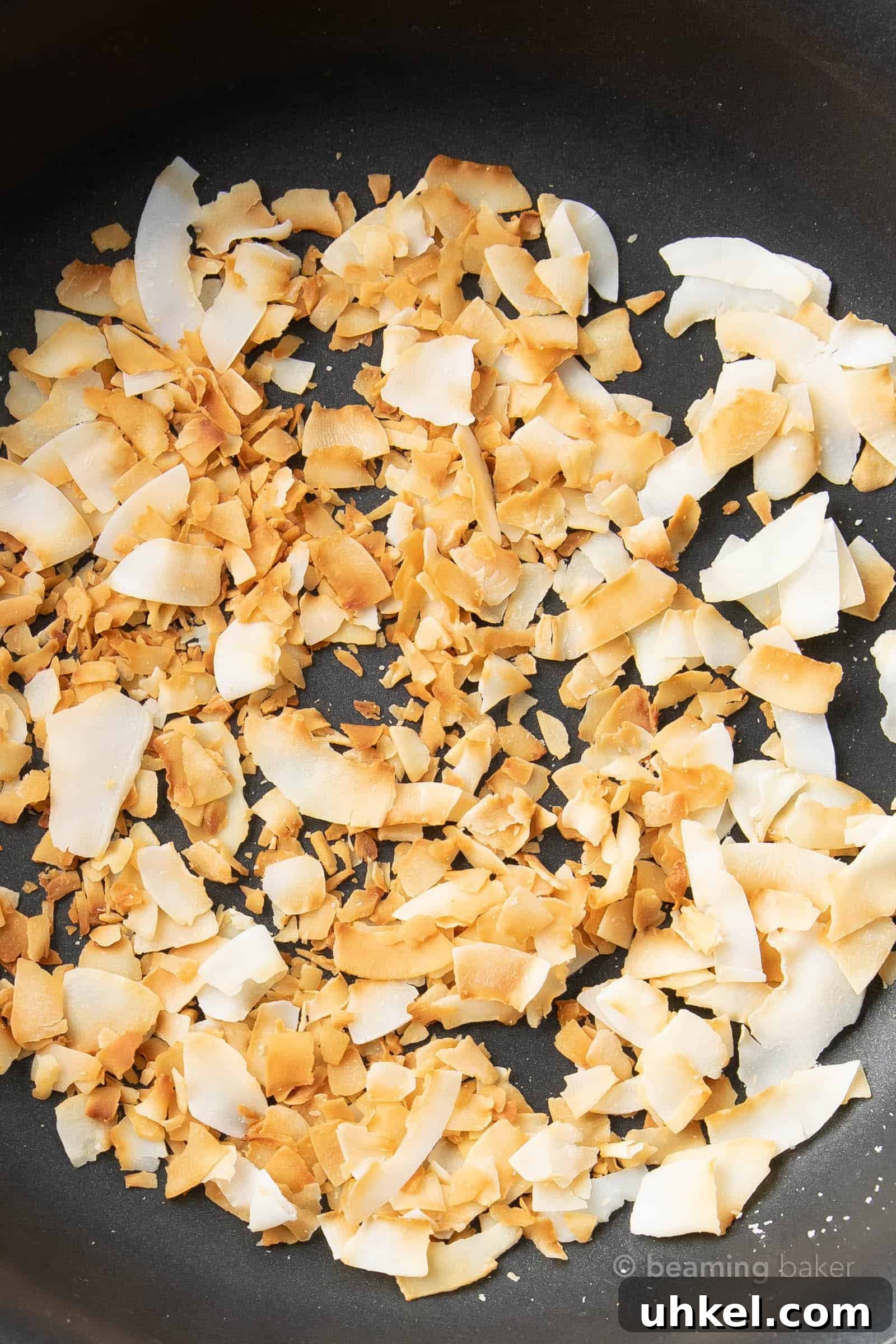 How to Toast Coconut Perfectly: Quick Oven and Stovetop Methods 6 closeup shot of toasted coconut flakes with golden edges after toasting the easiest way