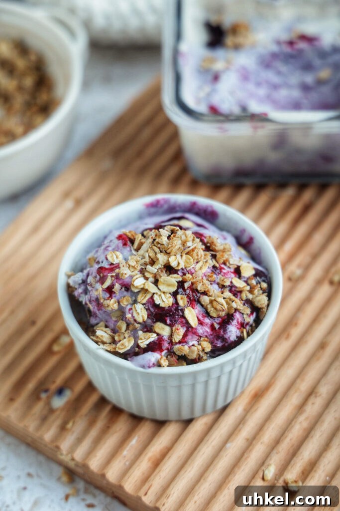 Vegan Paleo Blueberry Crisp Ice Cream Recipe (Dairy-Free) 2 A bowl of blueberry crisp ice cream.