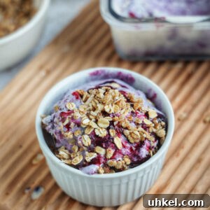 Vegan Paleo Blueberry Crisp Ice Cream Recipe (Dairy-Free) 3 img 4446 2