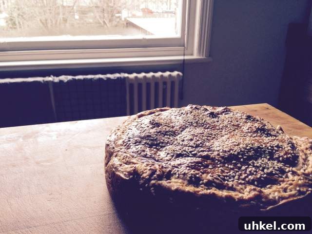 Beef Bourguignon Pie with Homemade Puff Pastry Recipe 2 Beef bourguignon pie