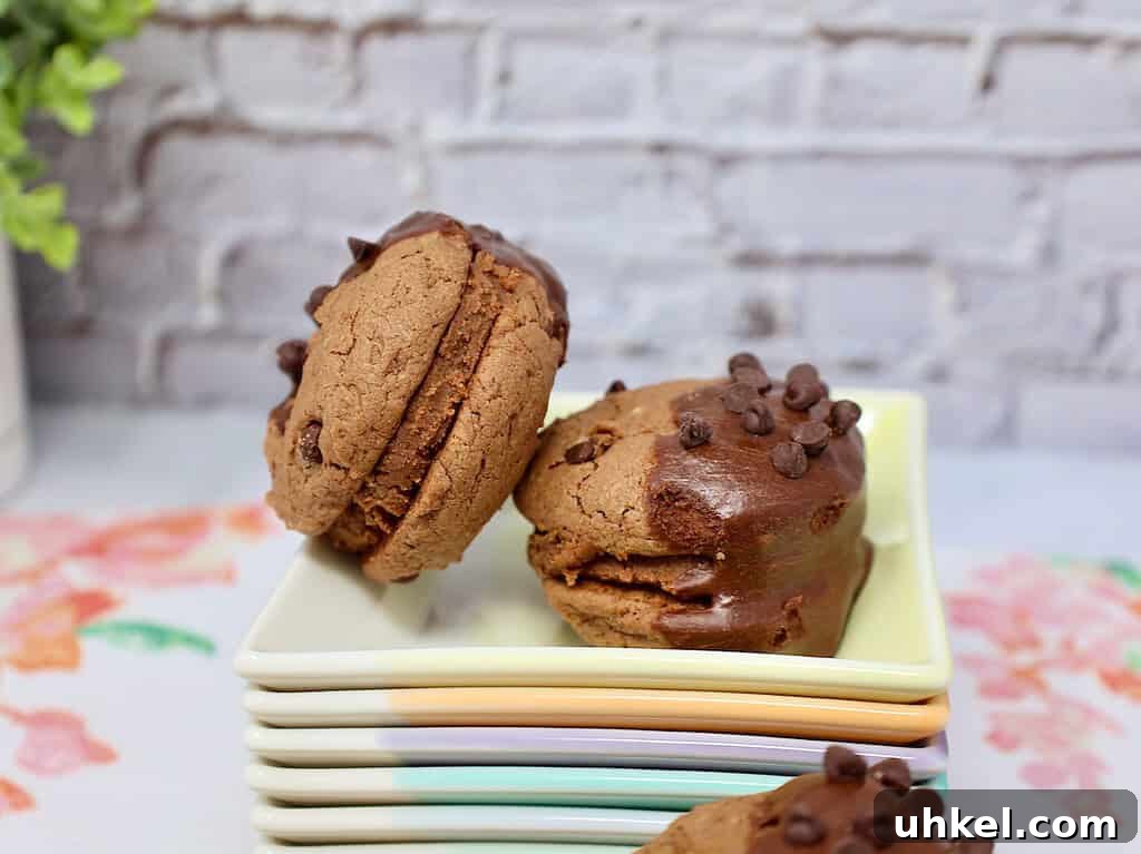 Chocolate Peanut Butter Banana Sandwich Cookies Recipe 4 banana peanut butter chocolate sandwich cookies