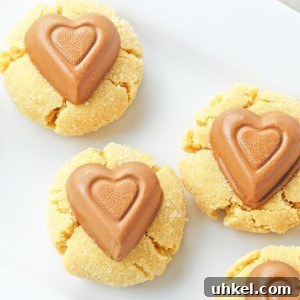 Peanut Butter Blossom Cookies for a Valentine’s Day Treat 8 Bisquick Peanut Butter Heart Blossom Cookie Recipe