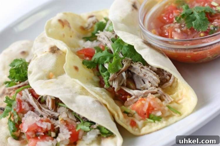 25 Make-Ahead Keto Freezer Meals for Quick Low-Carb Dinners 14 Crockpot Carnitas