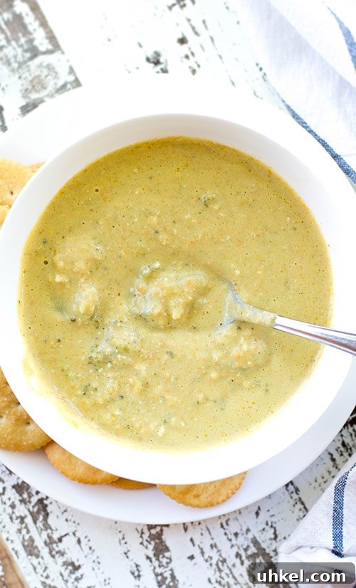 25 Make-Ahead Keto Freezer Meals for Quick Low-Carb Dinners 17 Crockpot Broccoli Cheddar Soup