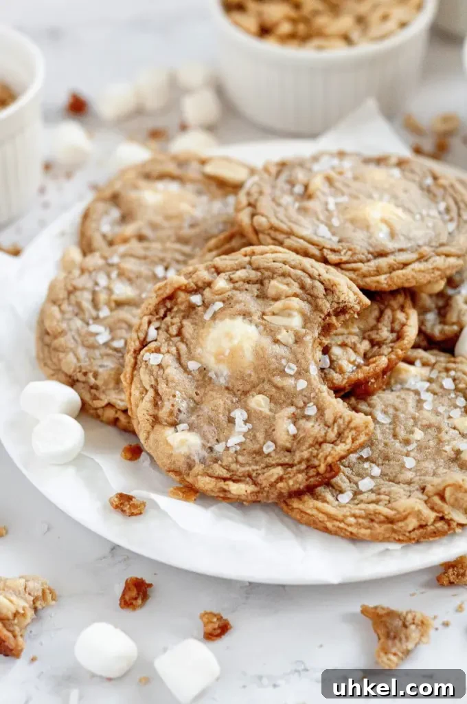 Golden brown fluffernutter cookies made with peanut butter, white mini marshmallows and salted peanuts.