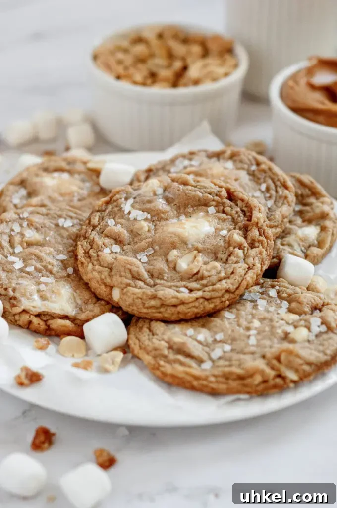 Golden brown fluffernutter cookies made with peanut butter, white mini marshmallows and salted peanuts.