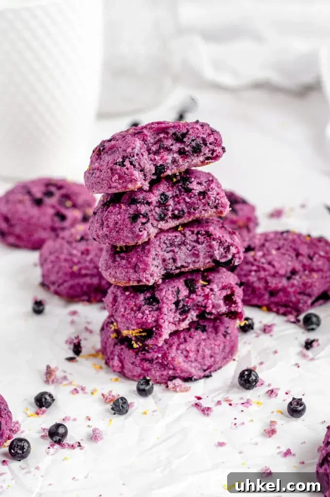 Bright purple blueberry lemon cookies full of dark blue wild blueberries and topped with fresh lemon zest.