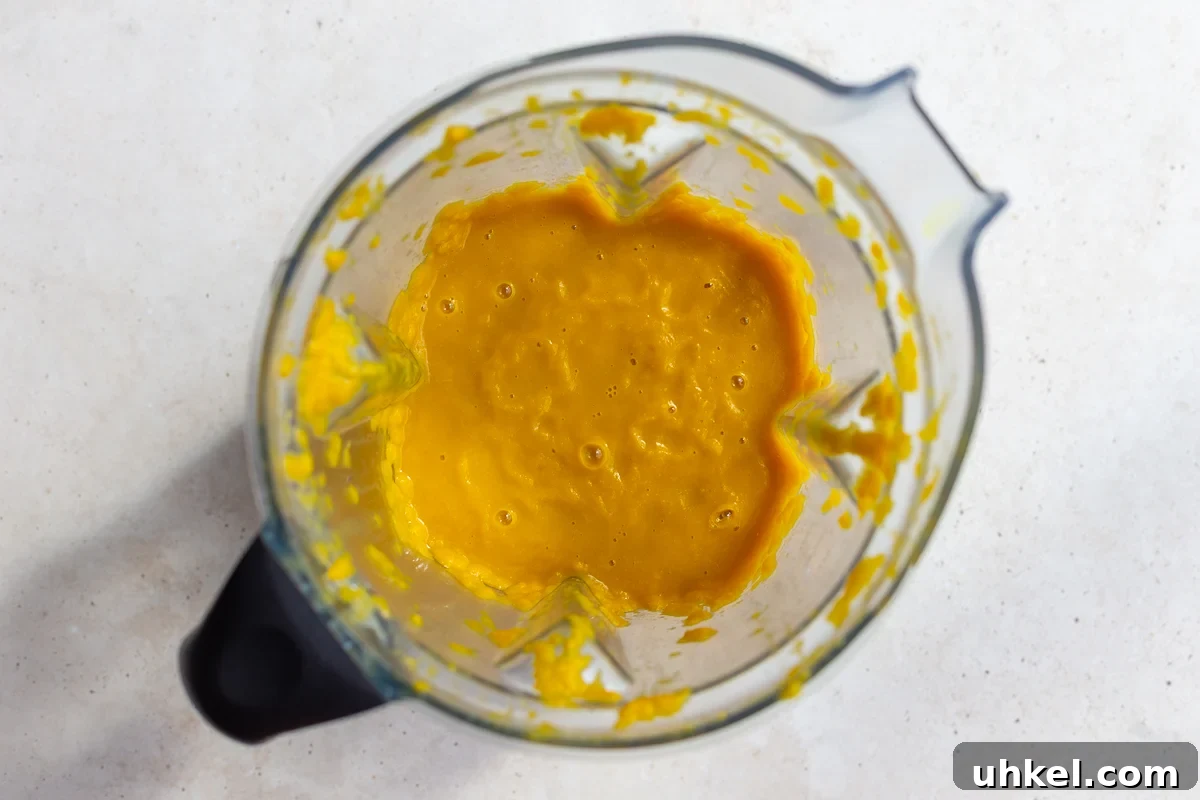 the veggie base of italian penicillin soup blended in a blender