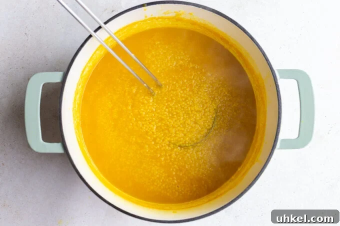 italian penicillin pastina soup in a large pot with a ladle pulling up soup