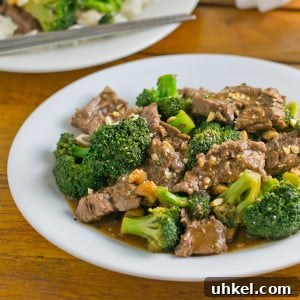 Beef and Broccoli Stir-Fry with Black Bean Sauce Recipe 5 img 4826 4