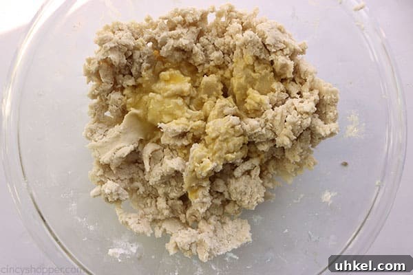 Authentic Dutch Apple Pie Recipe with Crispy Streusel Topping 8 img 48477 10