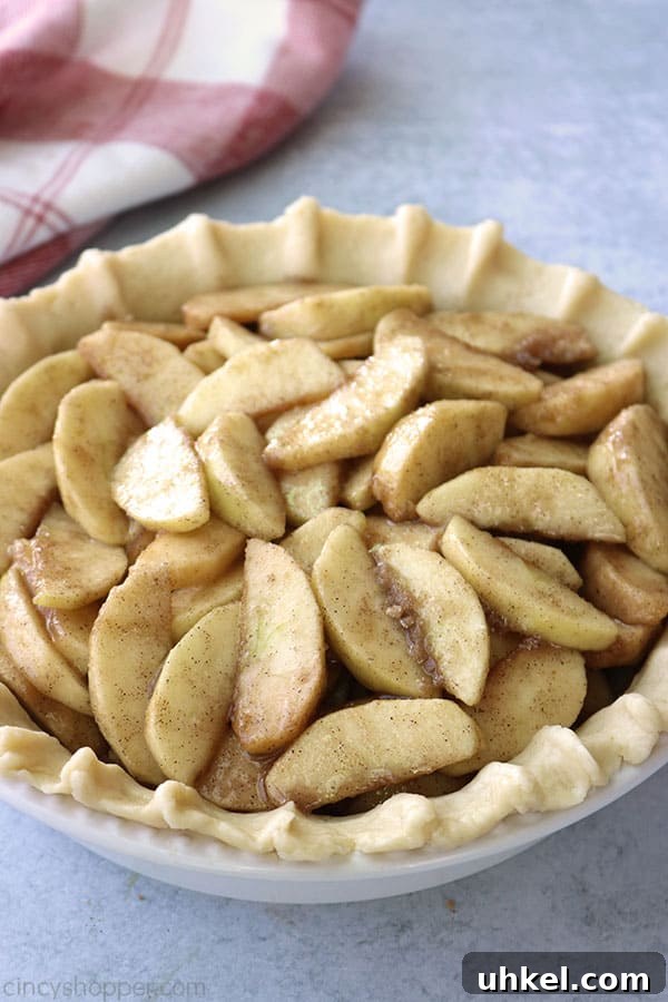 Authentic Dutch Apple Pie Recipe with Crispy Streusel Topping 12 img 48477 16