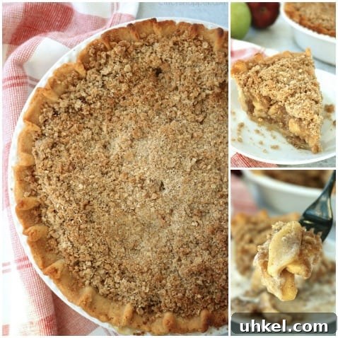 Authentic Dutch Apple Pie Recipe with Crispy Streusel Topping 15 Dutch Apple Pie