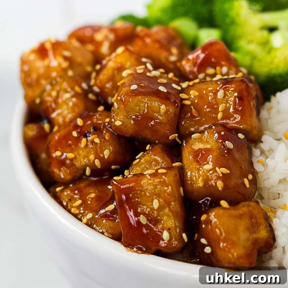 How to Make Tofu at Home: Step-by-Step Guide for Beginners 2 Finished picture of tofu with a sesame glaze.