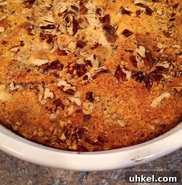 Apple Pecan Cobbler Recipe: Warm Spiced Filling with Crisp Topping 9 Apple Pecan Cobbler baked to a golden crisp