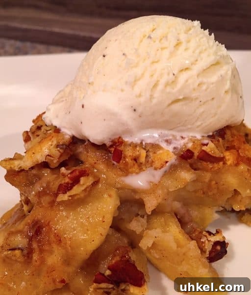 Apple Pecan Cobbler Recipe: Warm Spiced Filling with Crisp Topping 10 Apple Pecan Cobbler topped with vanilla ice cream