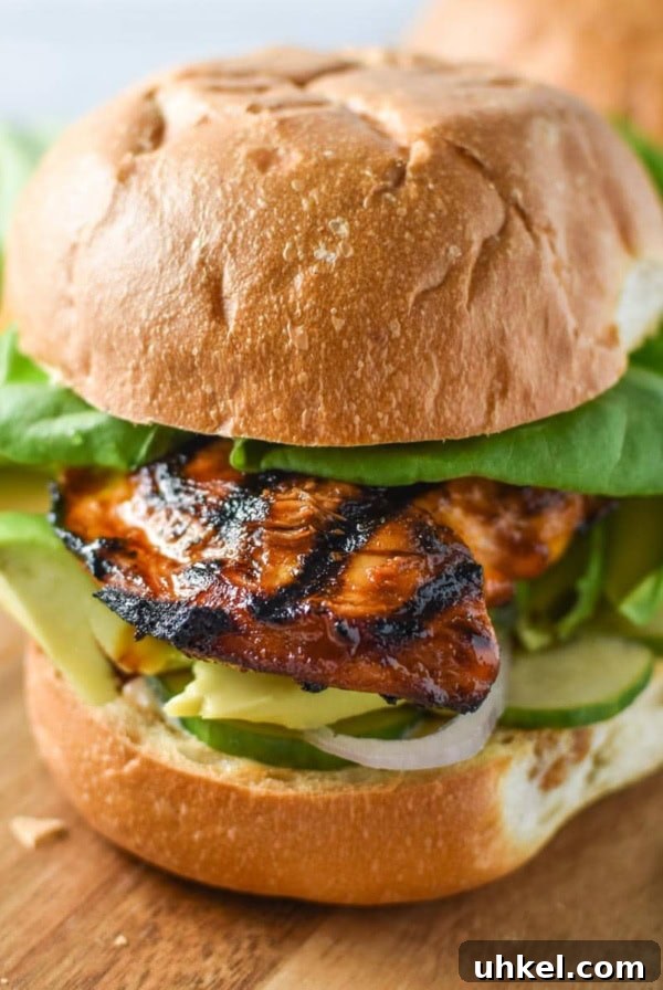 Juicy Mexican-Style Grilled Chicken with Zesty Marinade 13 A honey chipotle chicken sandwich topped with lettuce and avocado.