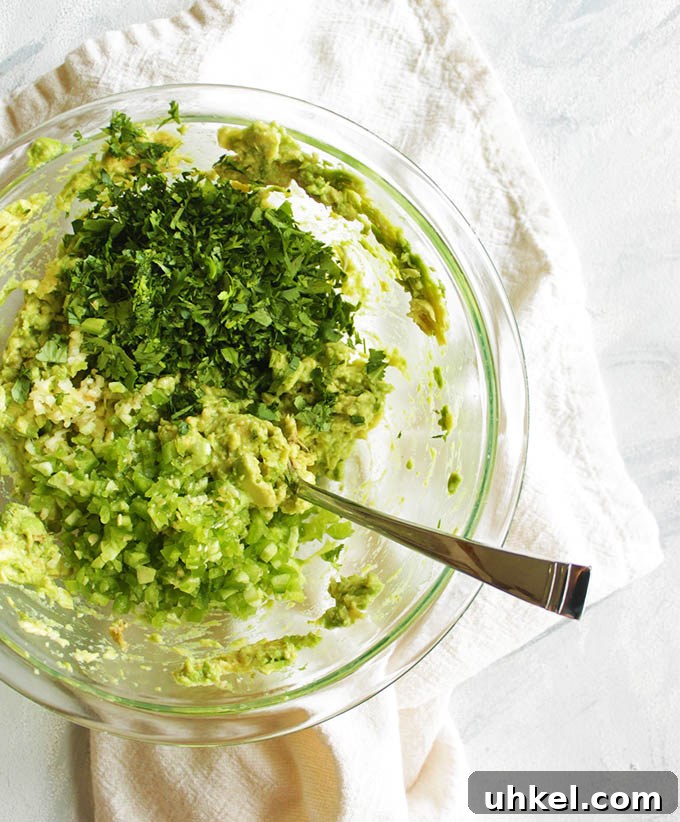 Ultimate Creamy Guacamole Recipe for Perfect Party Dip 6 The BEST Ever Guacamole - Guacamole is a simple Mexican dip made with mashed avocados, lime juice, cilantro, garlic, and jalapenos. Serve it with tortilla chips for dipping! Also great as an appetizer or side dish to any Mexican food. Bonus points if you serve it with a margarita! One of our favorite/most made recipes! So YUM! #guacamole #avocados #glutenfree #Mexicanfood #vegan #vegetarian | robustrecipes.com