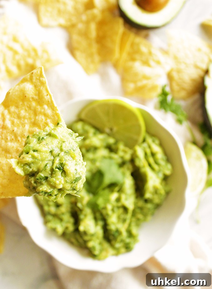 Ultimate Creamy Guacamole Recipe for Perfect Party Dip 7 The BEST Ever Guacamole - Guacamole is a simple Mexican dip made with mashed avocados, lime juice, cilantro, garlic, and jalapenos. Serve it with tortilla chips for dipping! Also great as an appetizer or side dish to any Mexican food. Bonus points if you serve it with a margarita! One of our favorite/most made recipes! So YUM! #guacamole #avocados #glutenfree #Mexicanfood #vegan #vegetarian | robustrecipes.com