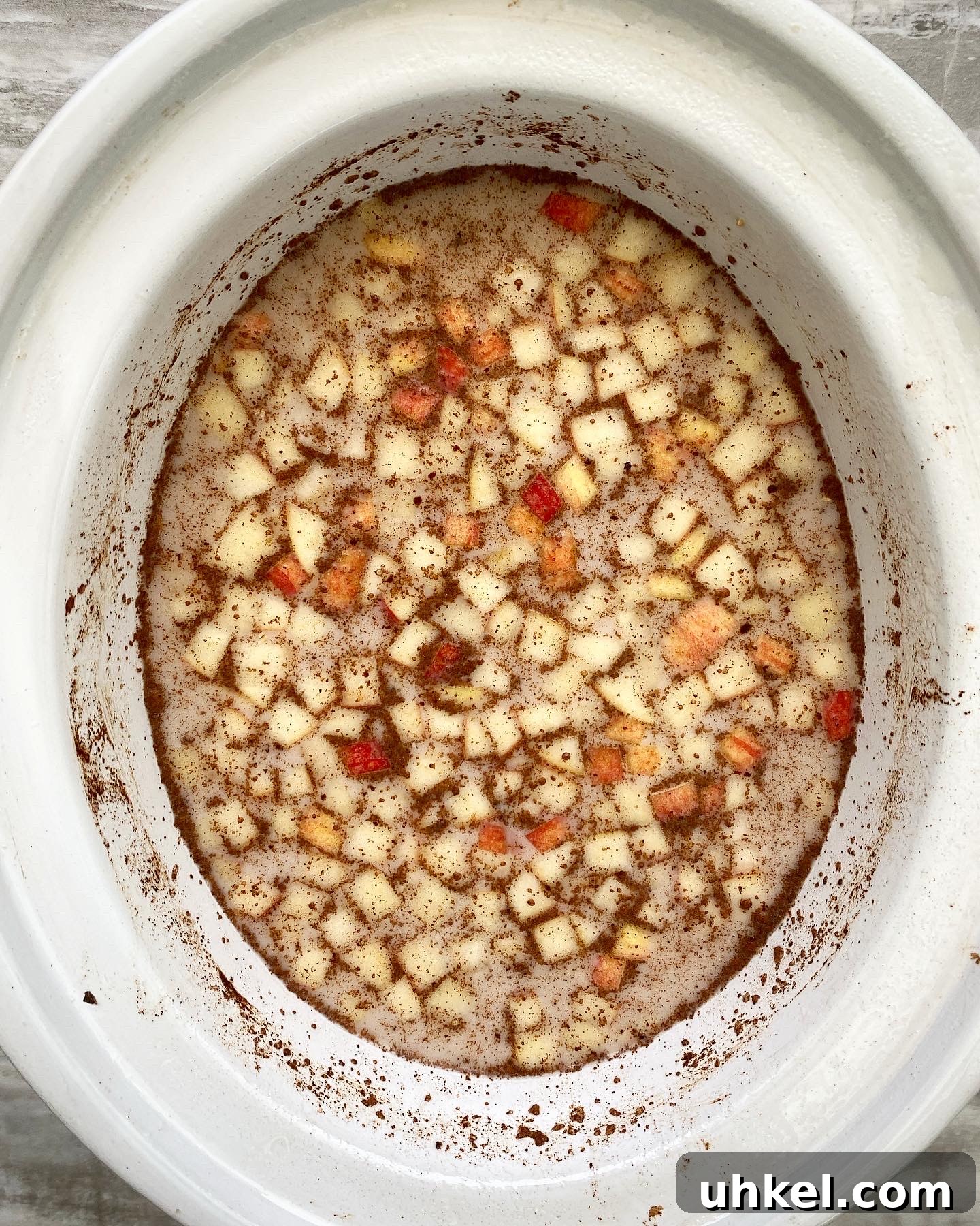 overhead shot of a before pic of uncooked apple cinnamon oatmeal in a white slow cooker
