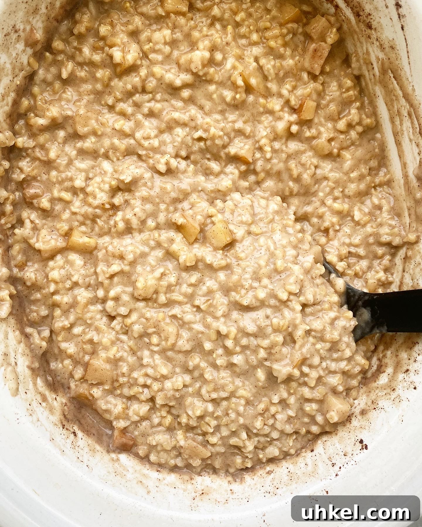 Slow Cooker Apple Cinnamon Oatmeal Recipe with Video 6 img 5505 5