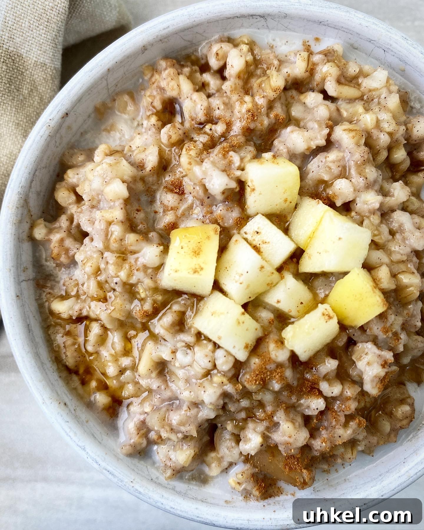 Slow Cooker Apple Cinnamon Oatmeal Recipe with Video 7 overhead shot side view of slow cooker apple cinnamon oatmeal in a white bowl with diced apple on top