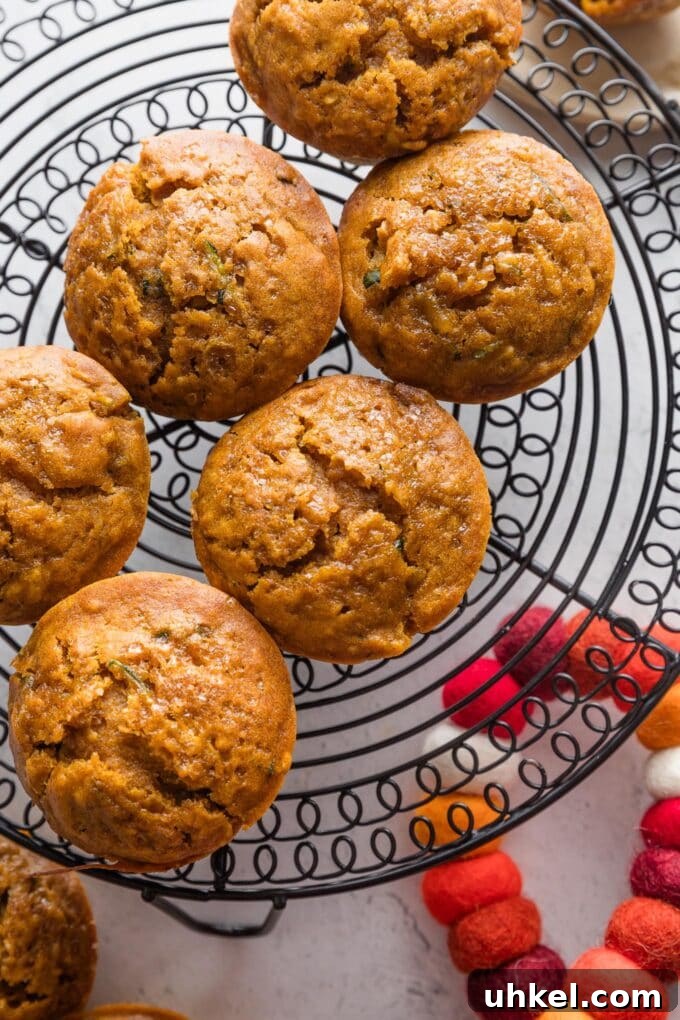 Moist Pumpkin Zucchini Muffins with Warm Spices 2 Large pumpkin zucchini muffins cooling on a black wire rack.