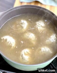 Tteok Mandu Guk Recipe: Korean Rice Cake and Dumpling Soup 16 img 6010 18