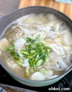 Tteok Mandu Guk Recipe: Korean Rice Cake and Dumpling Soup 17 img 6010 20