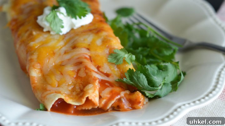 Image for Air Fryer Cheesy Beef Enchiladas