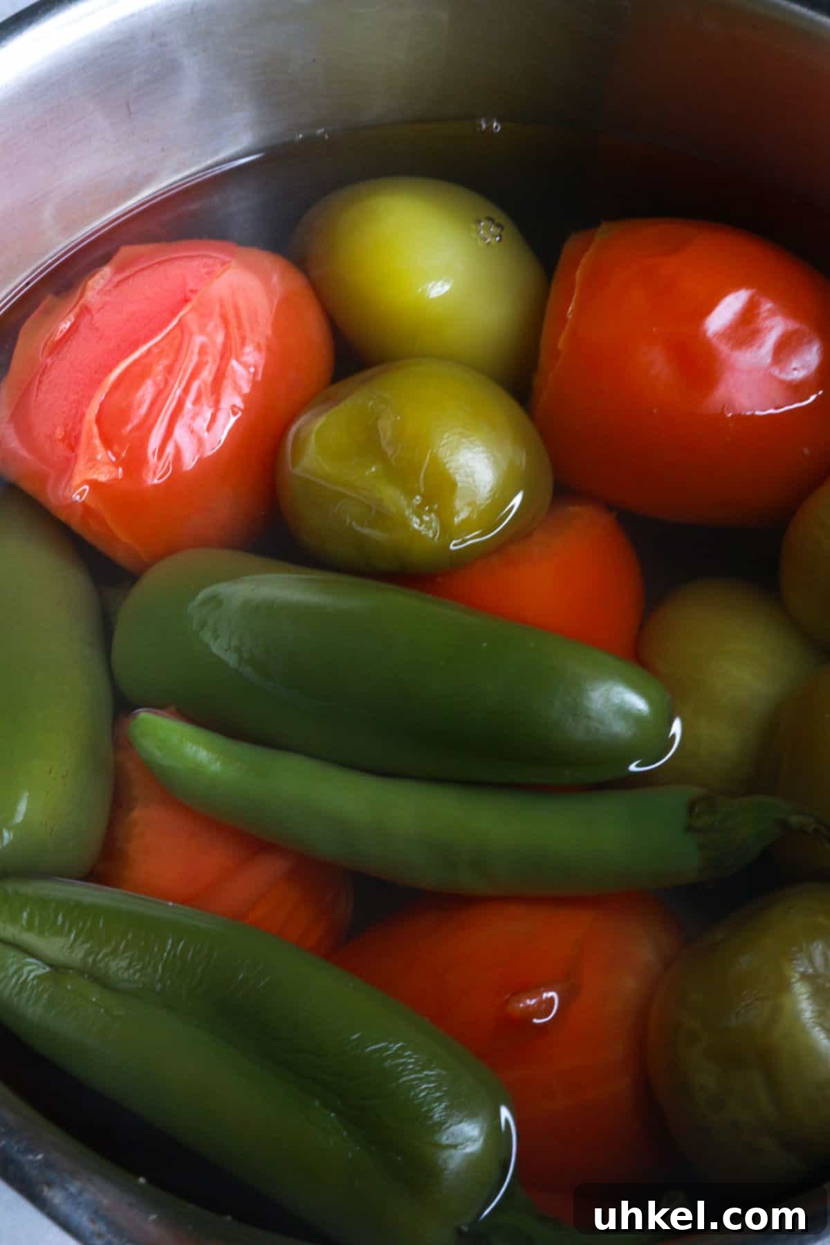 Salsa Verde Pulled Pork Sandwiches with Tangy Cilantro Sauce 4 Boiled tomatoes, tomatillos and jalapeños in water