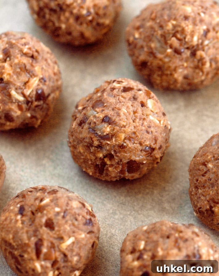 Black Bean Balls (Vegetarian)