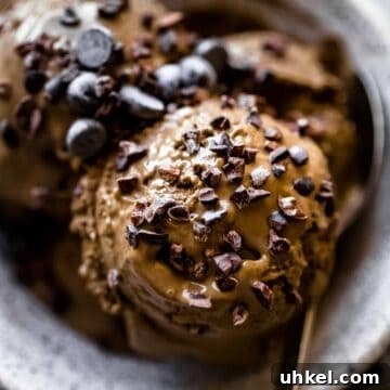 Creamy Paleo Chocolate Chip Ice Cream 2 chocolate ice cream scoops in a bowl with cacao nibs and dark chocolate chips