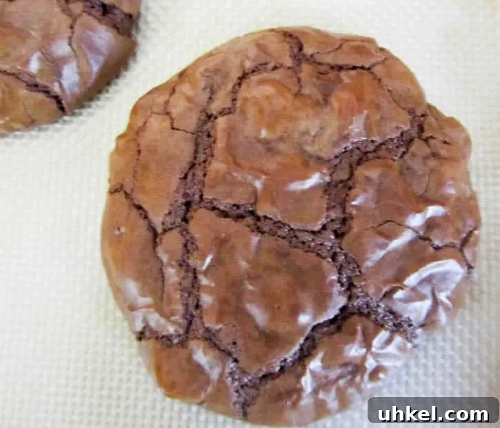 dbl-choc-brownie-cookie-08