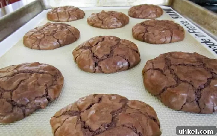 dbl-choc-brownie-cookie-09