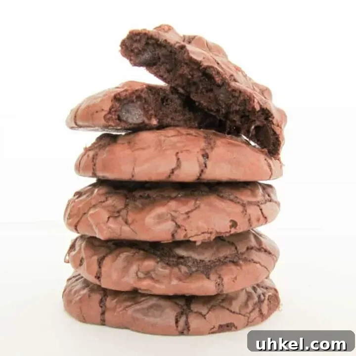 Double Chocolate Brownie Cookies