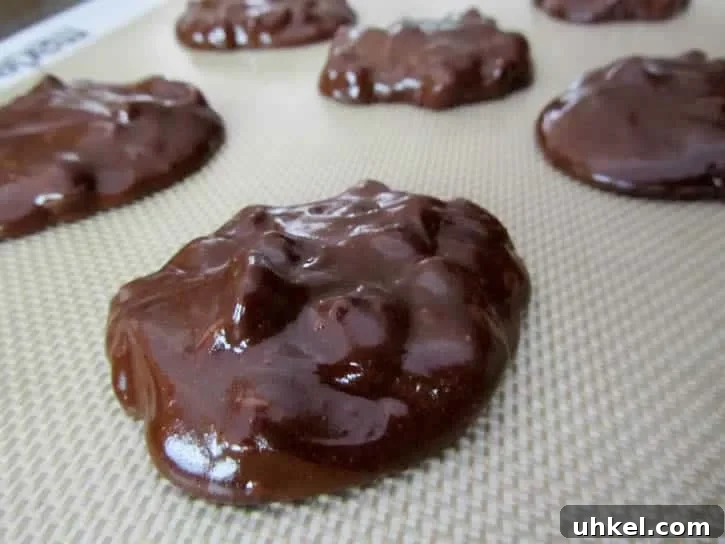 dbl-choc-brownie-cookie-06