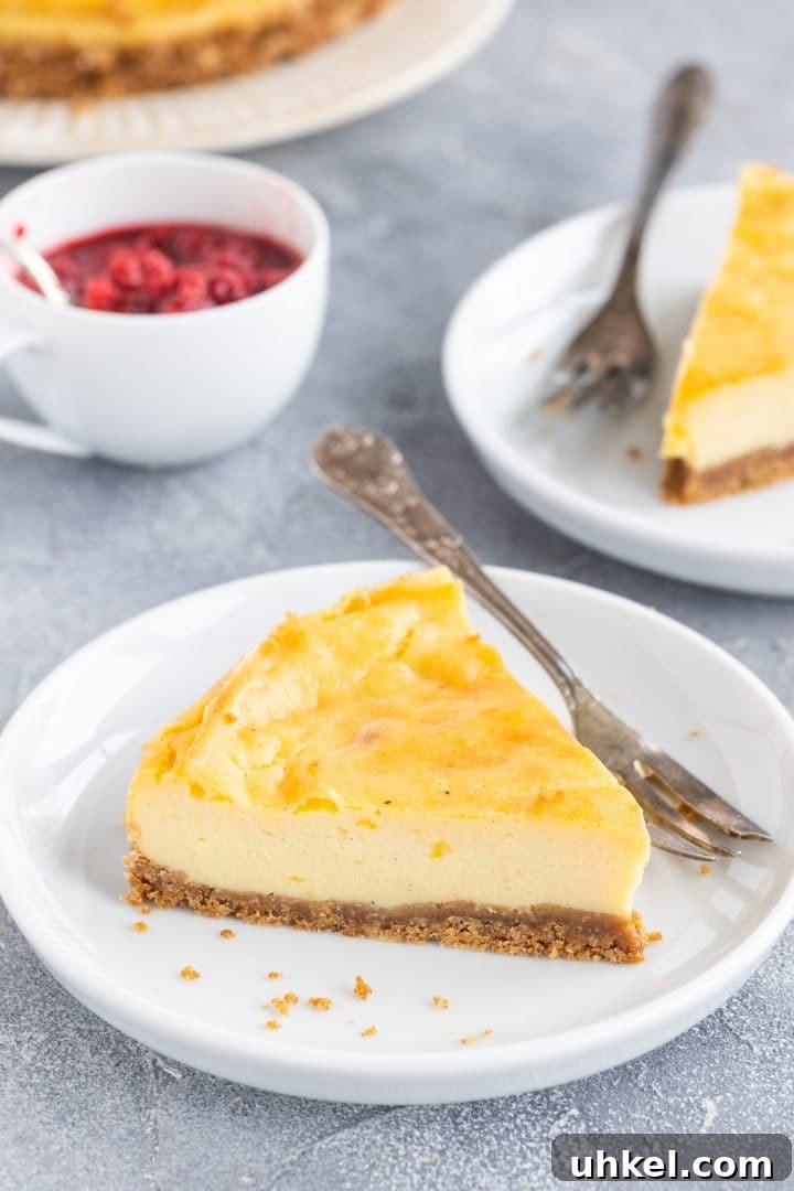 Decadent Vegan New York–Style Cheesecake Recipe 3 vegan-cheesecake-without-tofu-and-cashew