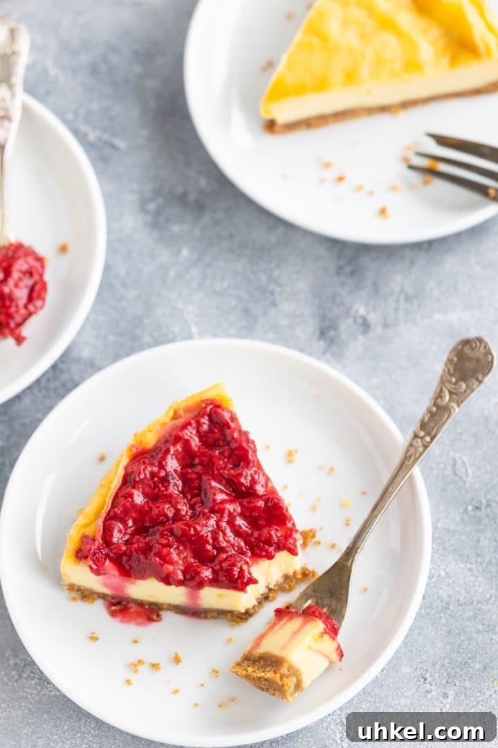Decadent Vegan New York–Style Cheesecake Recipe 5 vegan-cheesy-recipe