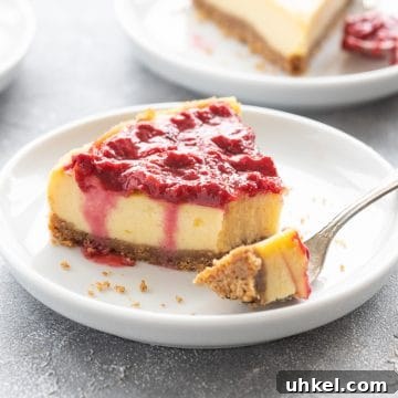 Decadent Vegan New York–Style Cheesecake Recipe 6 img 6722 5