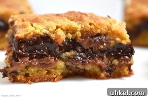 Decadent Chocolate Fudge Stuffed Cookie Bars Recipe 2 Chocolate Fudge Stuffed Cookie Bars are soft and gooey cookie bars with a quick and easy chocolate fudge running through the middle.