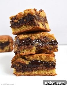 Decadent Chocolate Fudge Stuffed Cookie Bars Recipe 3 Chocolate Fudge Stuffed Cookie Bars are soft and gooey cookie bars with a quick and easy chocolate fudge running through the middle.